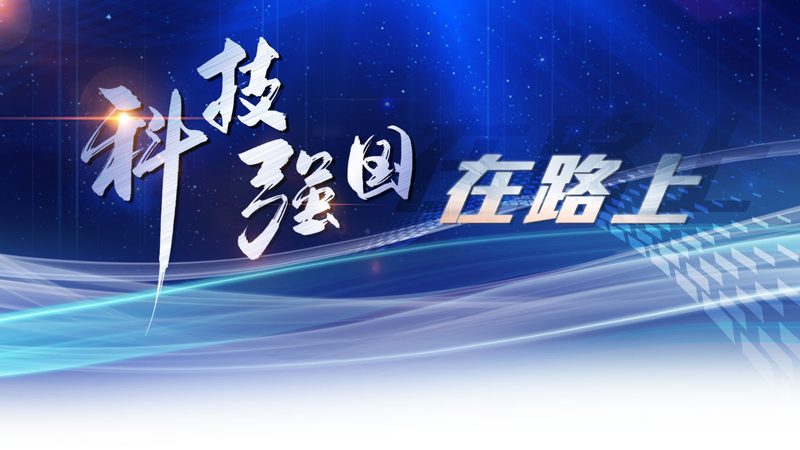 数字化案例分享：收费标准背后的考量因素